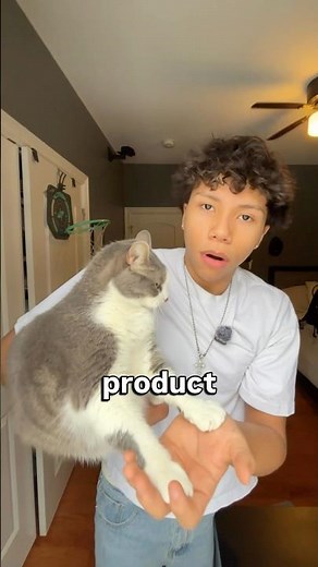 Cat Dental Products Ranked Worst To Best