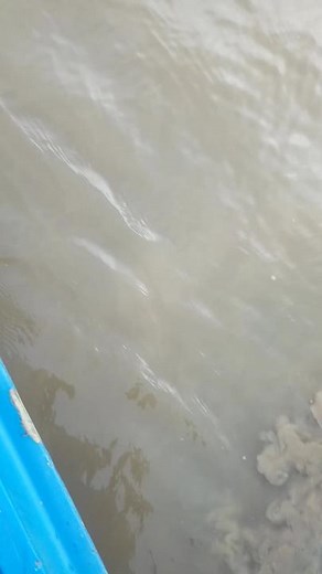 Discovering Unique Fish Species in Natural Waters