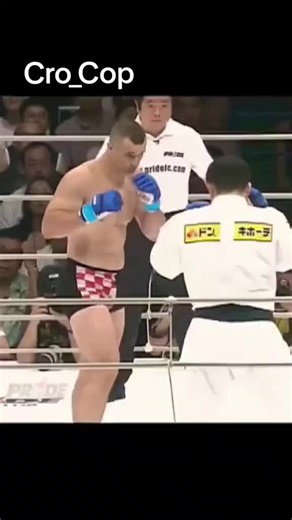Cro Cop Mirko champion highlights and pride moments