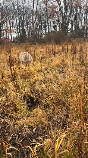 338 reactions · 7 comments | Jim out enjoying a break in the rain. | No Swine Left Behind | Facebook