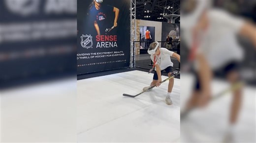 Check out the NHL Sense Arena