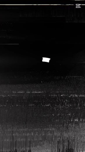 #rioacademy 💚🌴🦜