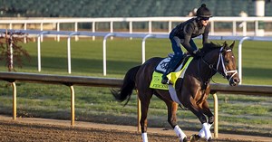 BOZICH | Why your favorite horse can win the Kentucky Derby — and why he won't