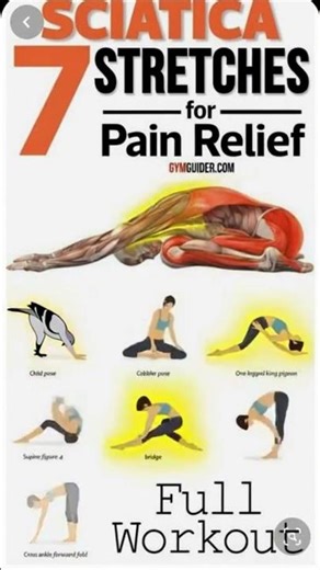 Sciatica Pain Relief Exercises| Fit Life|