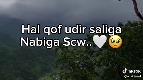 Love sarrr #featureme #bdtiktok😭official #🥹bdtiktokofficial #wivsxumo #bdtiktok😭official