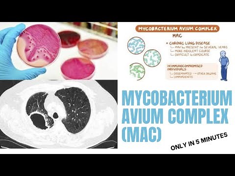 mycobacterium microbiology lecture || Mycobacterium avium complex (MAC) ||Easy Microbiology
