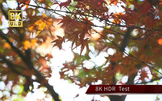 8K测试视频-无版权要求与限制
