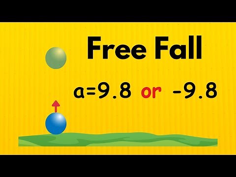 Should you use +9.8 or -9.8 for acceleration?