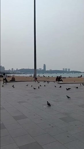 3 reasons to visit Pattaya Beach 🇹🇭 #shorts #pattaya #pattayathailand
