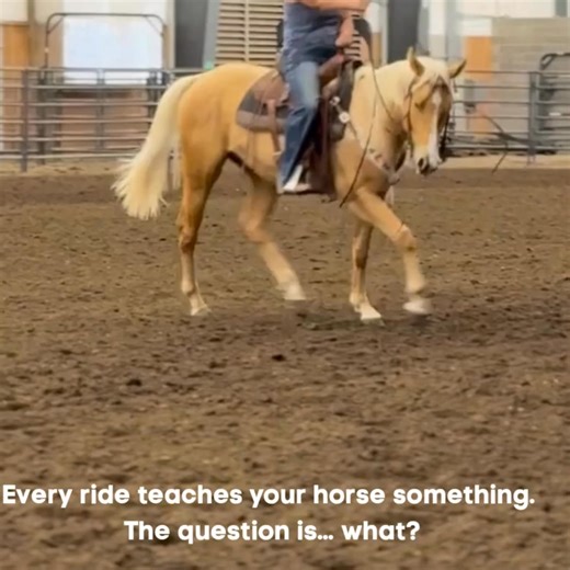 If you’ve ever walked away from a ride frustrated, you’re not alone. At Outside the Turn University, we focus on connection over correction, helping you understand why your horse reacts the way they do and how to build trust through every cue, transition, and turn. Learn the foundation that makes everything else easier at https://rideoutsidetheturn.com/why-join-ottu/ | Outside the Turn