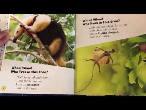 Read Aloud Tree Study #11: Who Lives in Trees? by Trish Holland