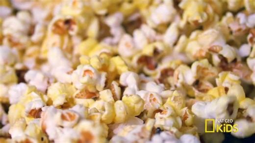 【探索世界奥秘科普动画】 How Things Work 事物是怎样运作的【全8集 无字幕】