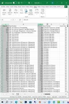 Vistas personalizadas en Excel