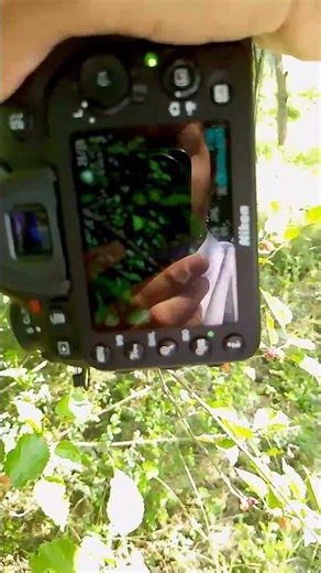 photography tutorial nature photography samples.