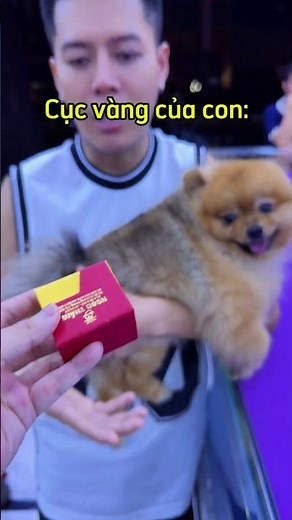 Nghe lời mẹ dặn "có tiền nhớ đầu tư vàng nha con!" #shorts #review #hellolapday