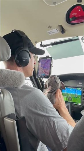 We’ve Helped Save 7,000 Animals… Now We’re Racing to Save 2,800 More 🐾✈️
