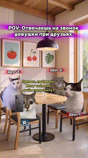 Memes that Help Cats: A Fun Compilation 😼