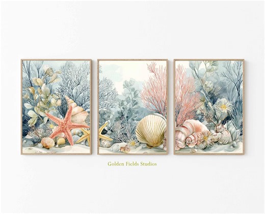 Coastal Seashell Wall Art Set: Beach House Nautical Prints - Etsy