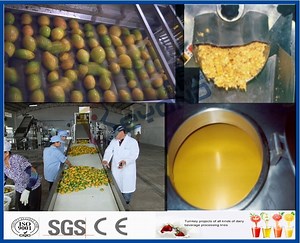 [Hot Item] Mango Juice Processing Machine Mango Processing Line concentrate pulp processing line for Mango