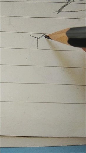 How to draw a book tutorial #book #books #tutorial #tutorials #drawingprocess #drawing #draw #art