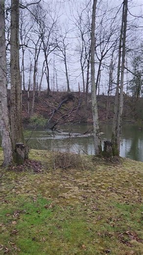 A back porch view so peaceful #rural Realtor