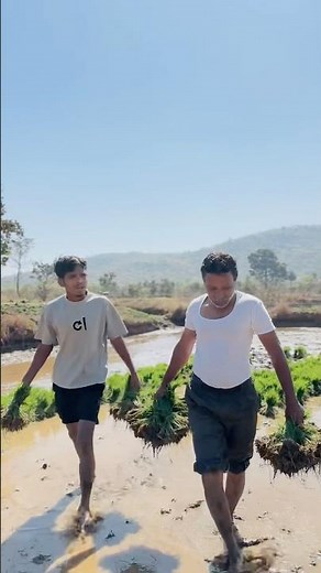 शेतकरी संघटना🌾🫵🏻😂