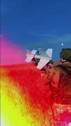 Yolka Anti-Drohnen-System