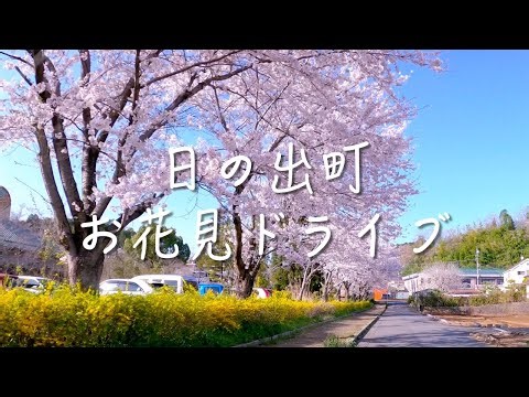 お花見｜日の出町のオススメ桜スポットをご紹介！