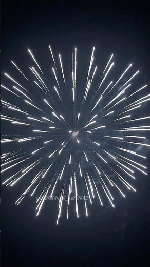 6” Inch 150mm display shell effect Silver Crown 🔥 #vuurwerk #shell