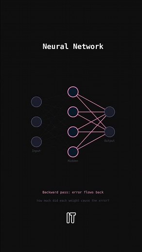 What Actually Happens When a Neural Network Learns