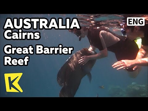 【K】Australia Travel-Cairns[호주 여행-케언스]그레이트배리어리프, 스쿠버 다이빙/Great Barrier Reef/Scuba Diving/Sea Walk