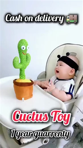 Dancing and talking cactus that repeats your words, sings,and dances Price Decreased | limited time