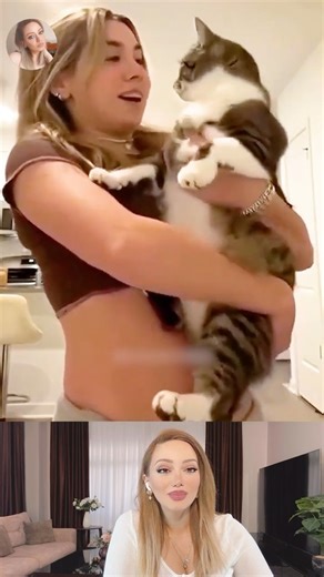 Funny Dog & Cat Fails Compilation | Funny Animal Videos