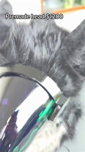 Vicious Dog Attitude: The Ruby Protogen Experience