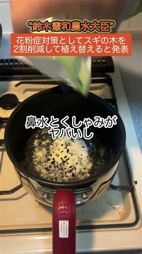 [Please do it] 20% of cedar trees to be replaced as a measure against hay fever