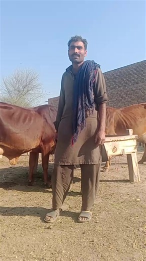 munshisaggu (@munshi.saggu)’s videos with original sound - munshisaggu