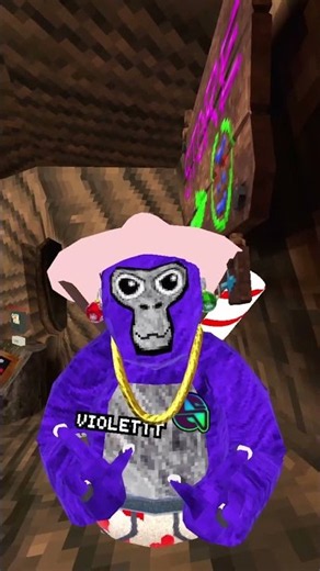 Part 2 Of showing YOU the BEST Gorilla Tag Mods! #gorillatag #vr #mods