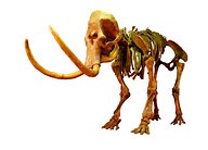 Bring In The Clones ( Real World ) | Biology