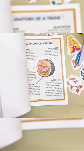 🌿 Ignite your child's curiosity and love for the outdoors with our Printable Nature Journal! 🌿 Perfect for homeschooling and Charlotte Mason Nature Study, this journal is an engaging way for preschoolers and toddlers to learn about the world around them. ✅ Homeschool Learning Materials: Ideal for incorporating into your preschool curriculum. ✅ Charlotte Mason Inspired: Embrace nature study and outdoor exploration. ✅ Toddler Busy Book: Keeps your little ones entertained and learning. 📚 Compreh