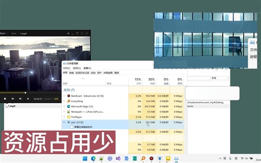 显示屏幕某个区域的镜像，支持置顶、缩放、左右镜像；适用于部分区域演示、方便位置查看信息