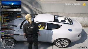 GTA（LSPDFR警察模组）LAPD警员执法_哔哩哔哩bilibili