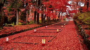 JapanGov is your digital gateway to Japan. Follow us and get latest insights. | Japan - The Government of Japan