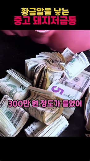 황금알을 낳는 중고 돼지저금통