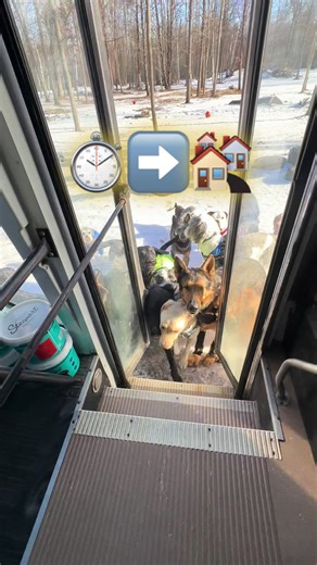 ⏱️➡️🏘️ | lincoln and phoebe