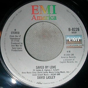 David Lasley - Saved By Love