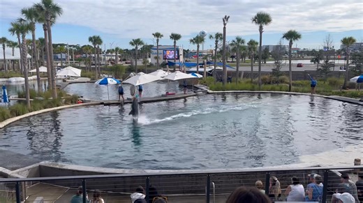 Mike Taylor on Reels | Facebook