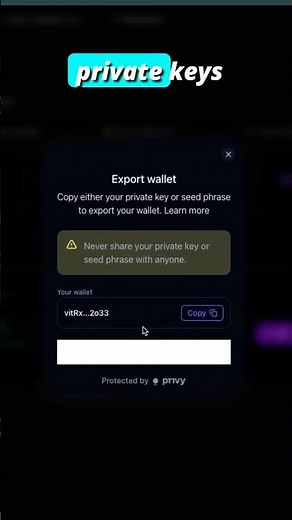 MintCraft Wallet Tutorial: Send, Receive & Export Your Private Keys