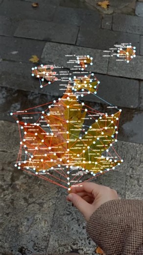 CRIS WAR on Instagram: "To fall is to become something new. #newmediaart #codecore"