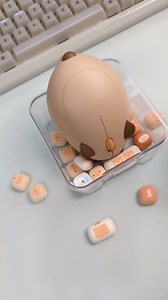 Akko Wireless Gaming Mouse Capybara, Tri-Mode Mouse BT3.0/BT5.0/2.4G, Cute Optical Cordless Cartoon Mice for Computer/Laptop/Desktop/PC, Compatible with Mac/Win