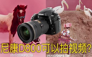 用尼康D800原生画面拍视频！ 平面摄影师首次用单反拍视频试水成功